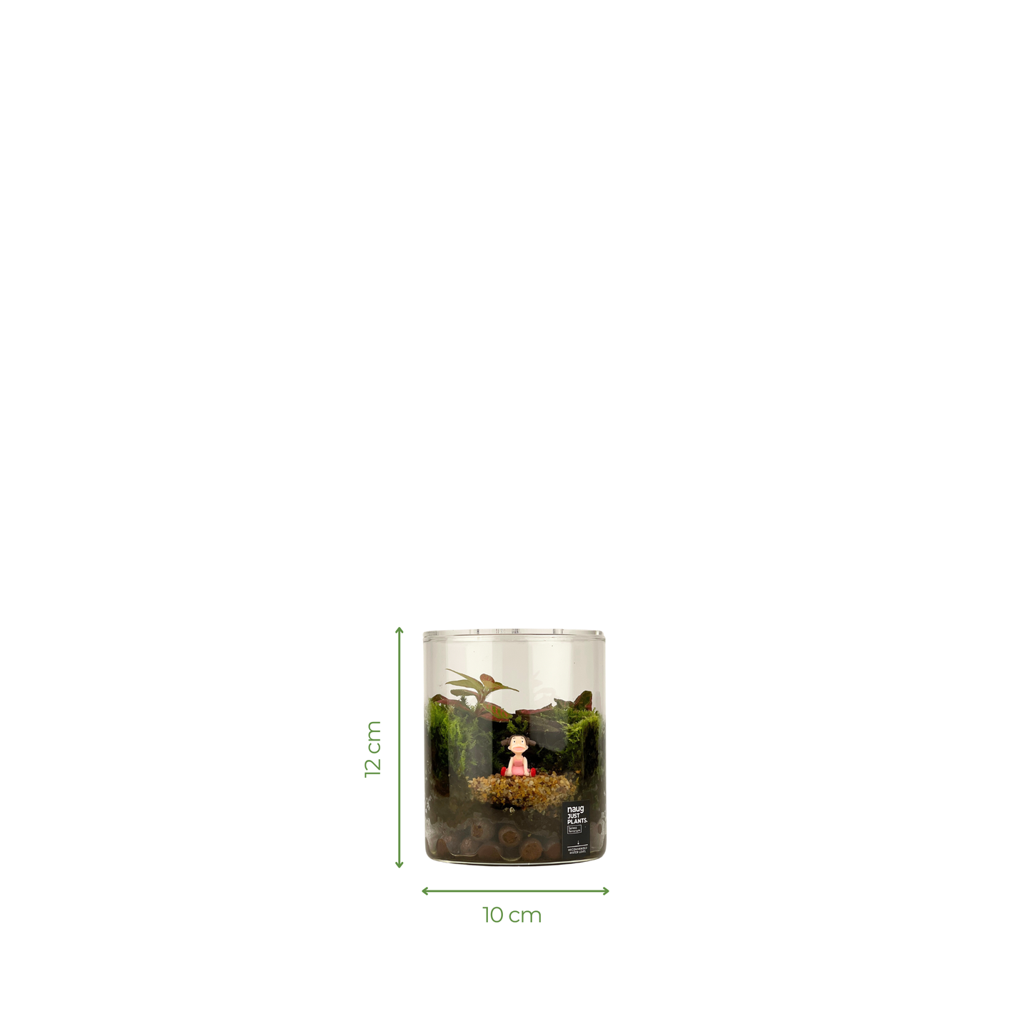 Cylinder Terrarium 10CM x 12CM