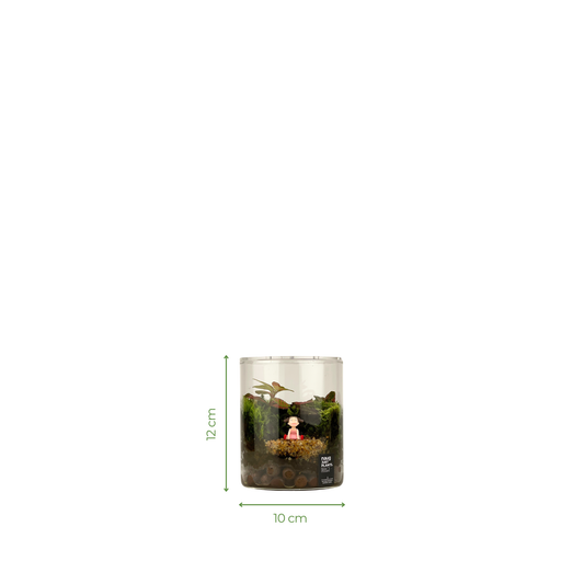 Cylinder Terrarium Series