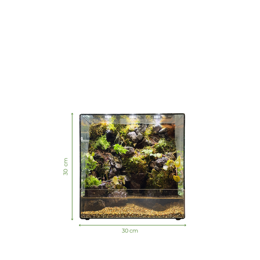 Standard Paludarium Series
