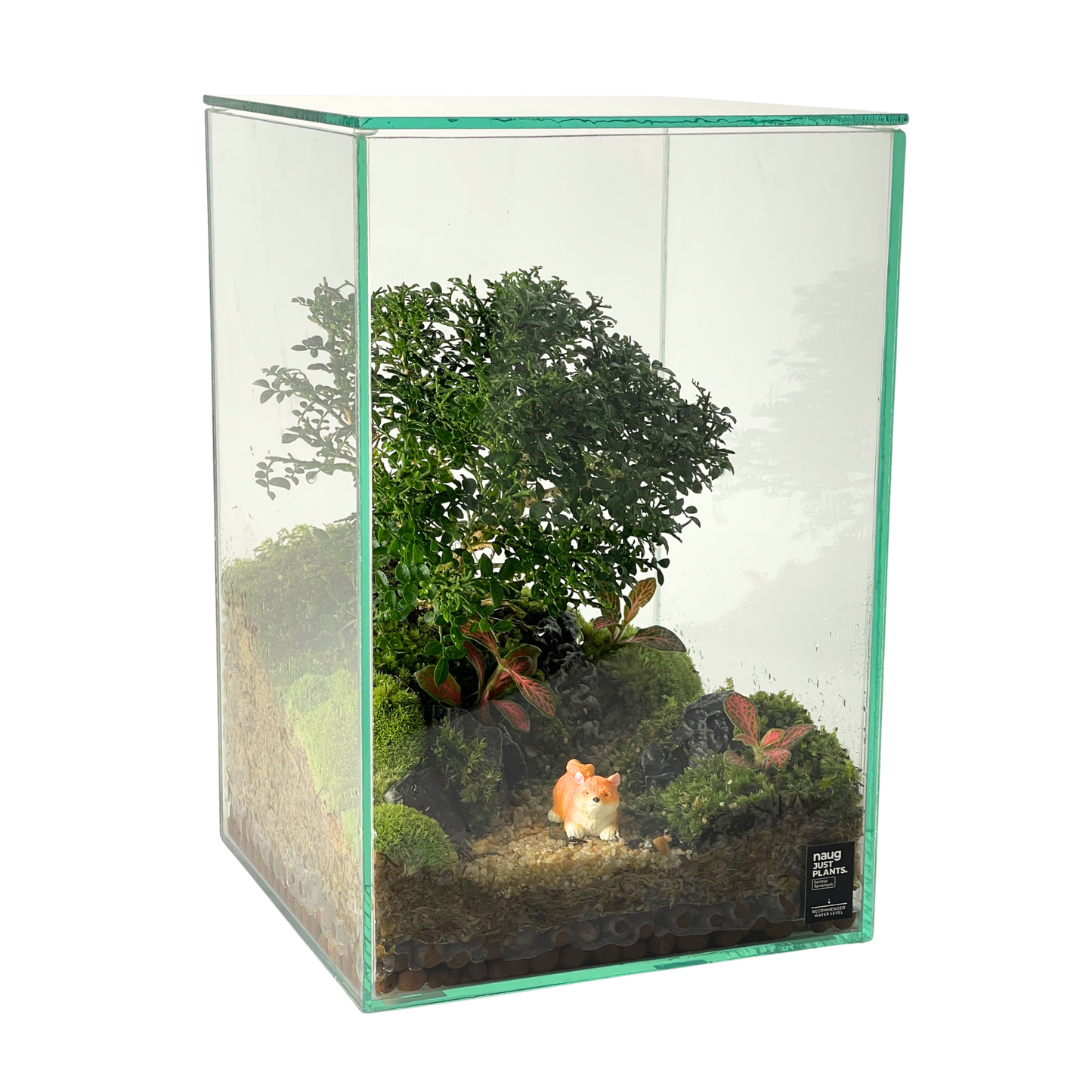 Bonsai Terrarium 20CM x 20CM x 30CM