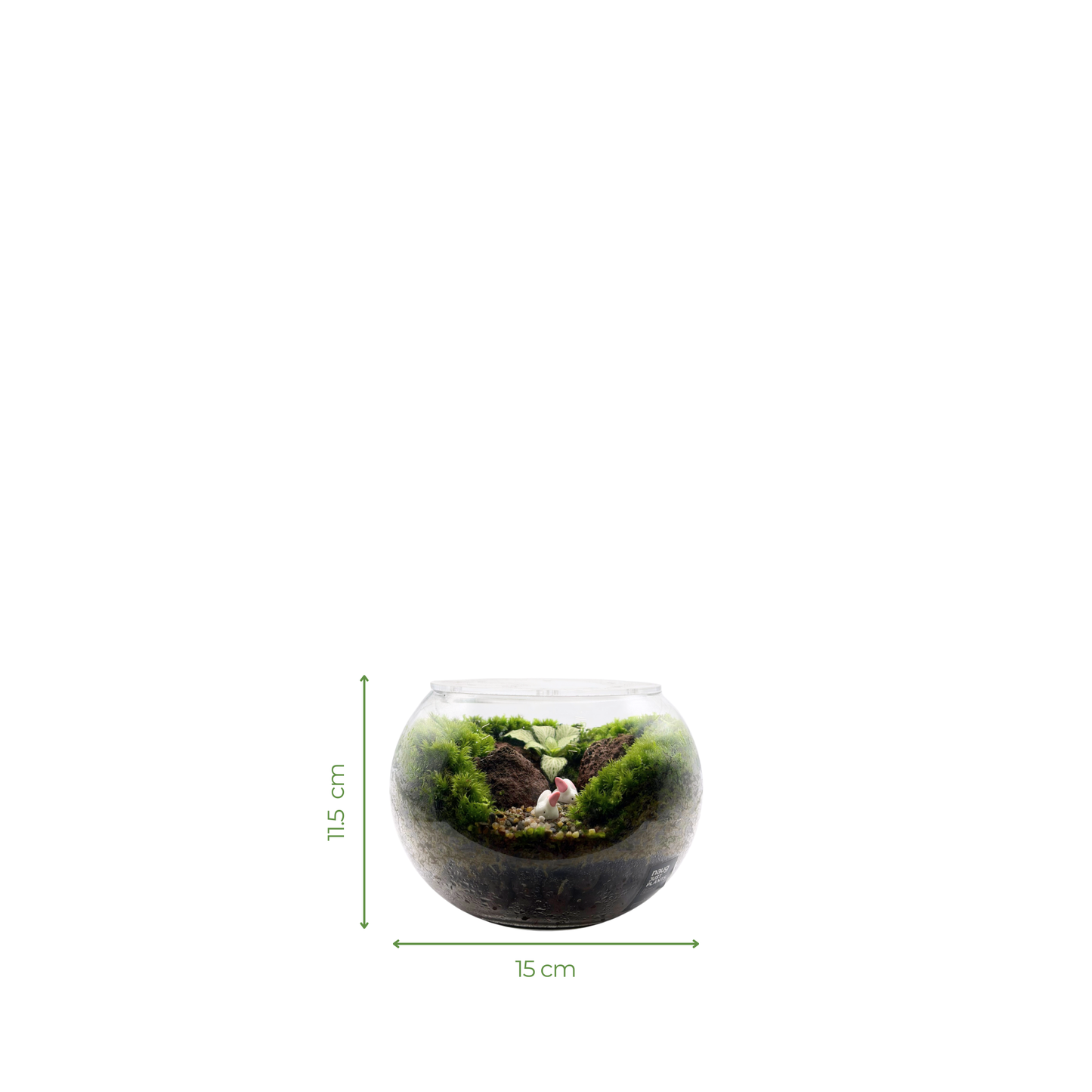 Bowl Terrarium 15CM x 11.5CM
