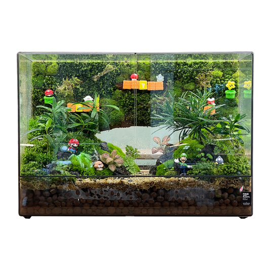 Super Mario Green Wall Terrarium Series