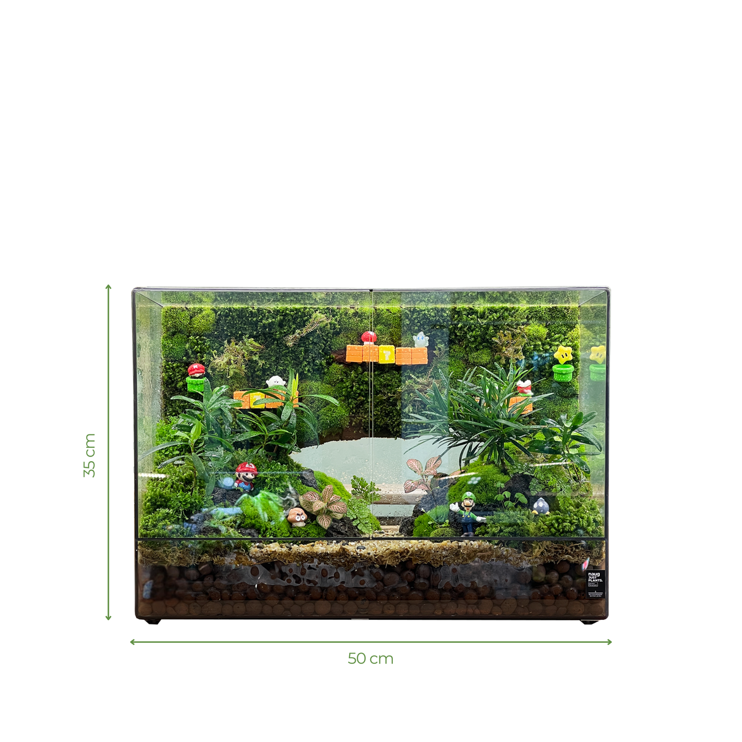 Green Wall Terrarium 50CM x 35CM x 20CM