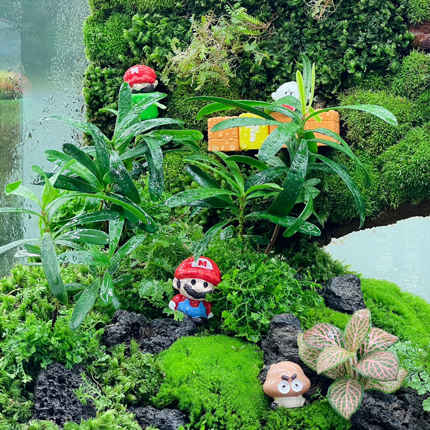 Super Mario Green Wall Terrarium Series