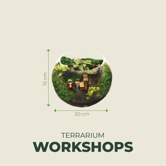 [1 or 2 Pax] Creative Terrarium 15cm x 20cm