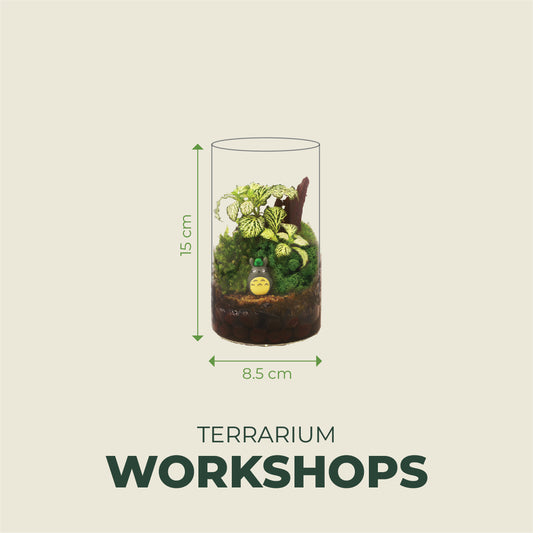 [1 Pax] Basic Terrarium 15cm x 8.5cm