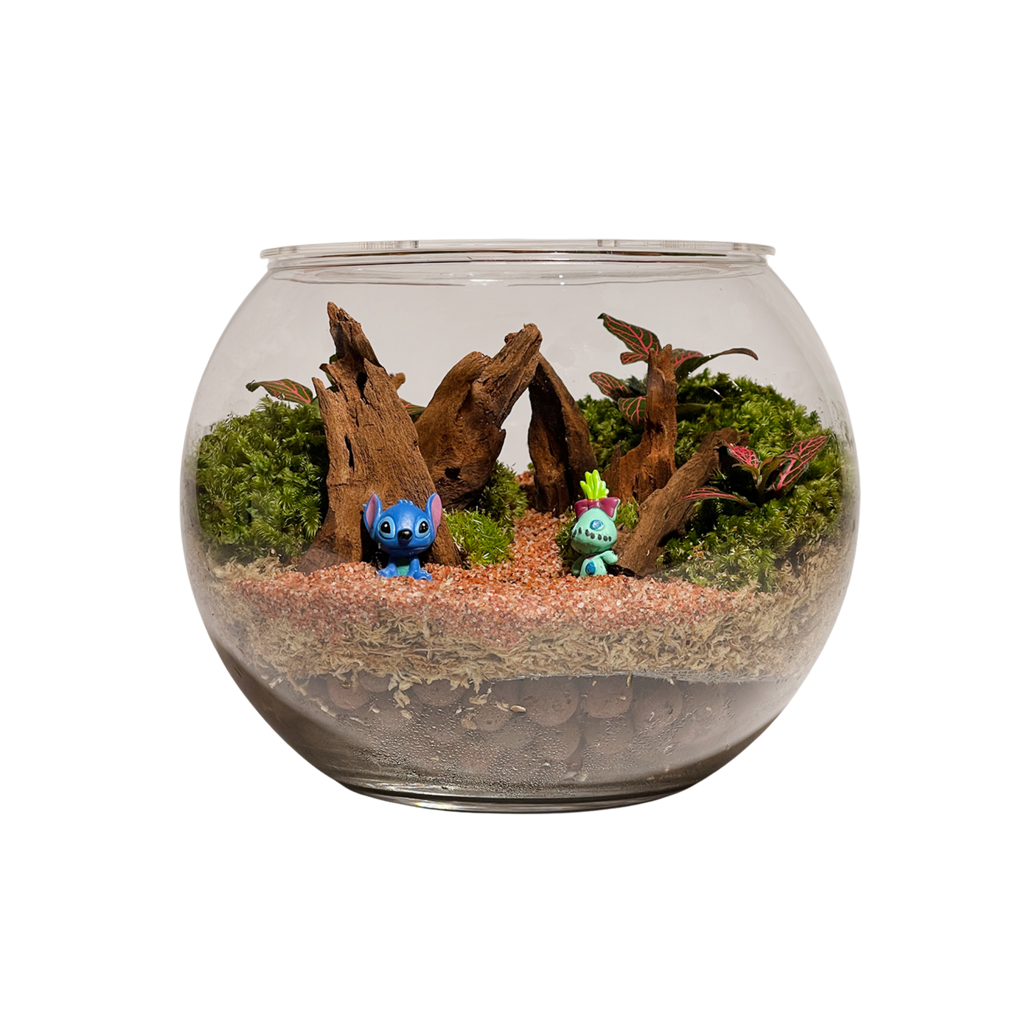 Bowl Terrarium Series