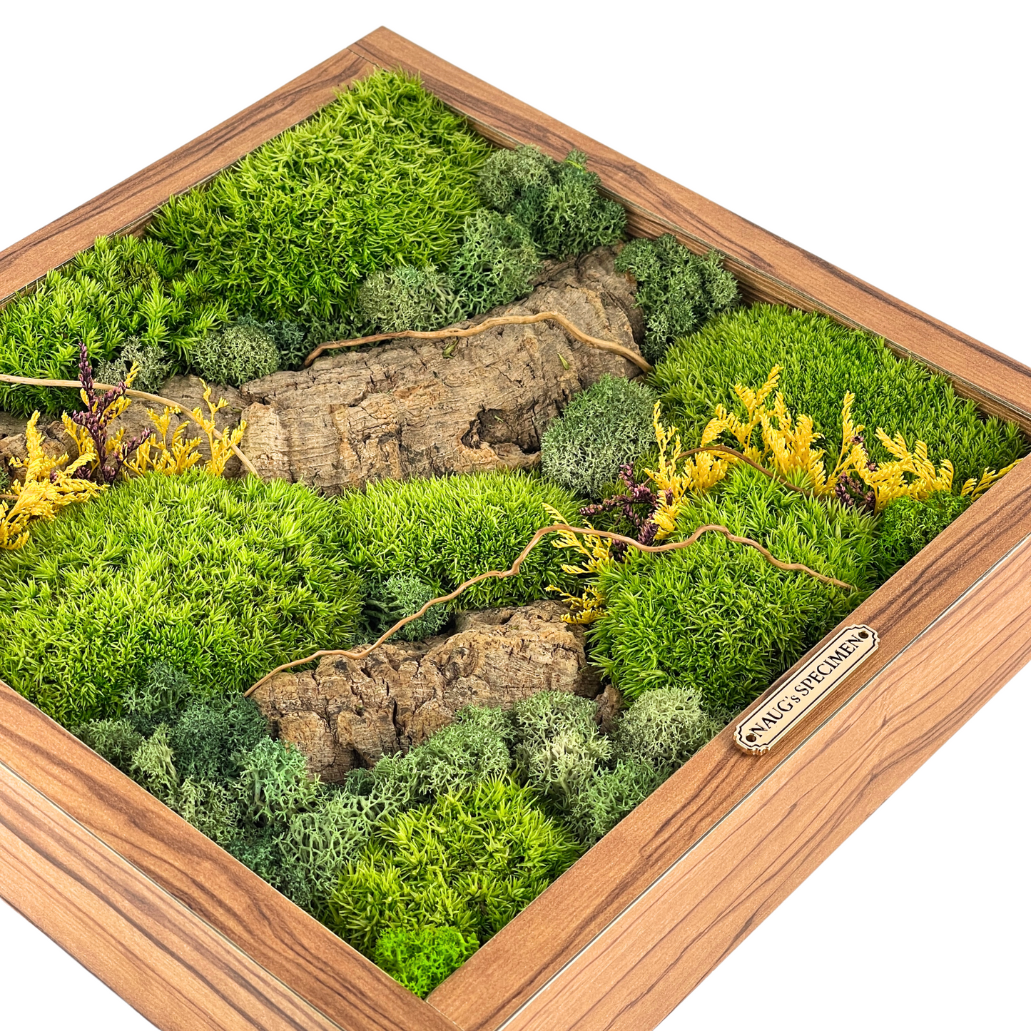Square Preserved Moss Frame with Cork Bark