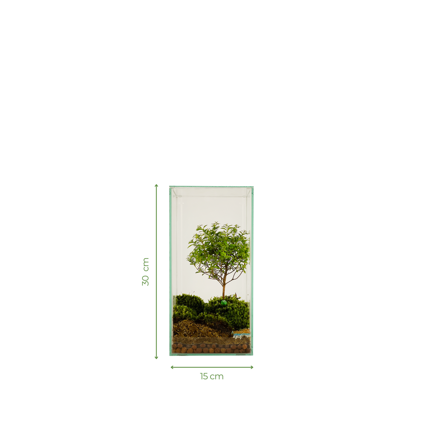 Bonsai Terrarium 15CM x 15CM x 30CM