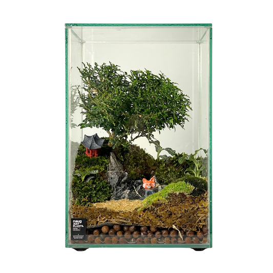 Bonsai Terrarium Series