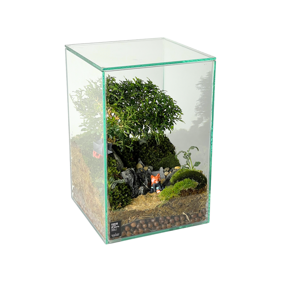 Bonsai Terrarium 20CM x 20CM x 30CM