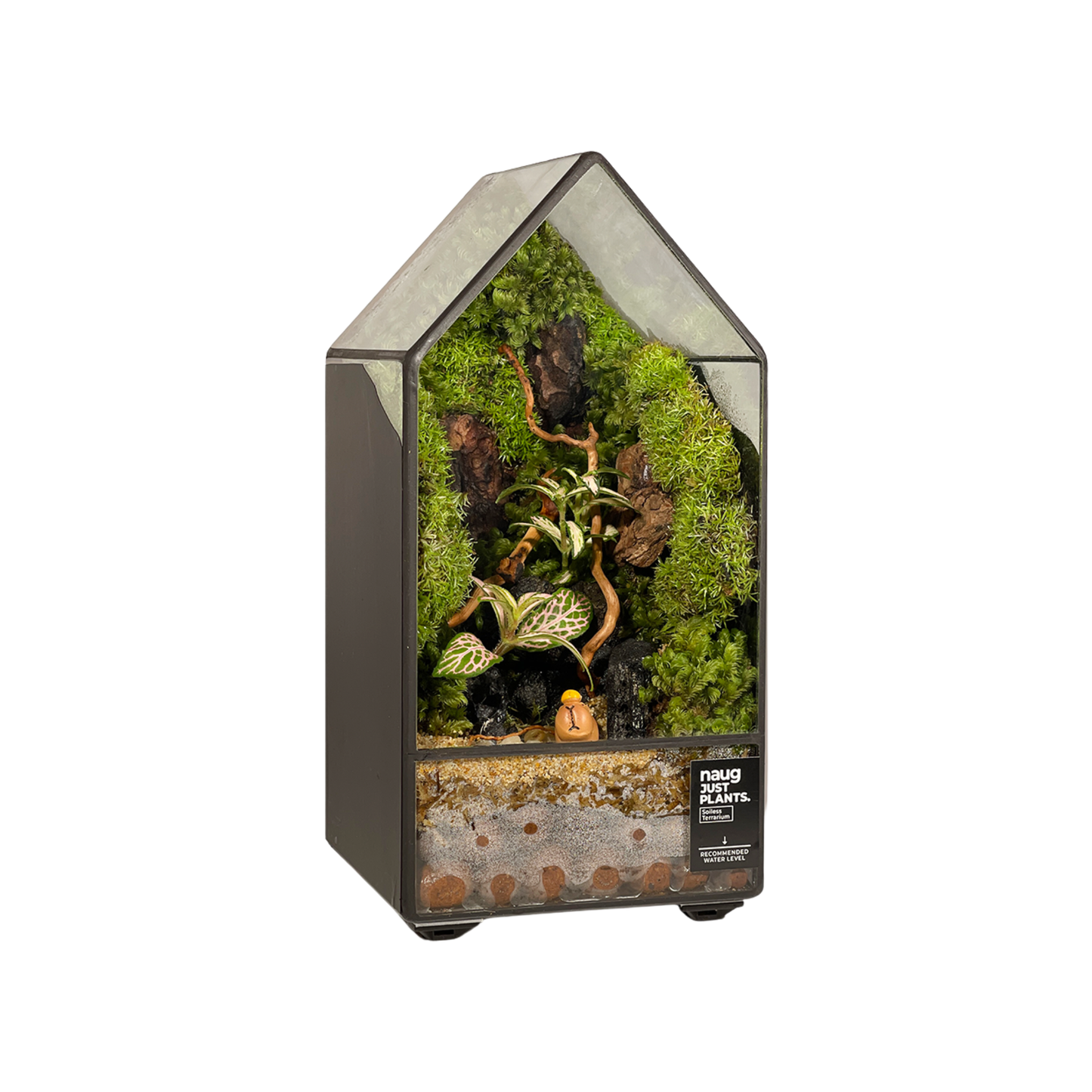 Green House Terrarium Series