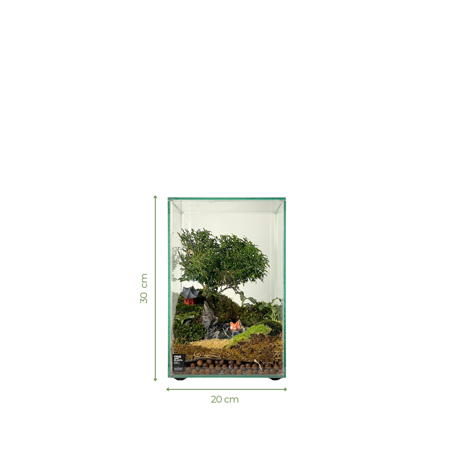 Bonsai Terrarium Series