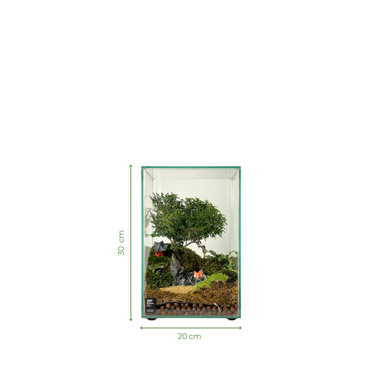 Bonsai Terrarium Series