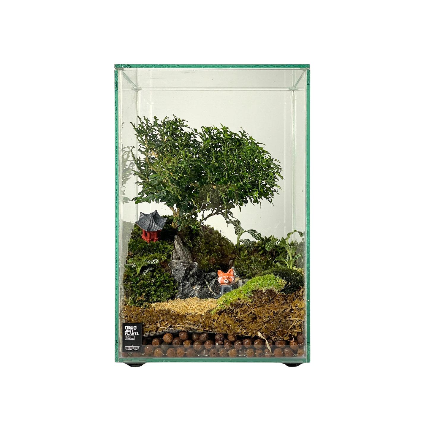 Bonsai Terrarium 20CM x 20CM x 30CM