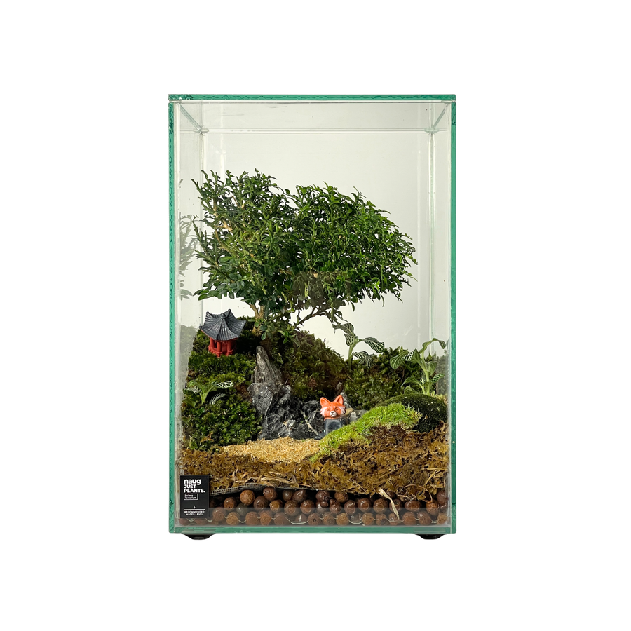 Bonsai Terrarium 20CM x 20CM x 30CM