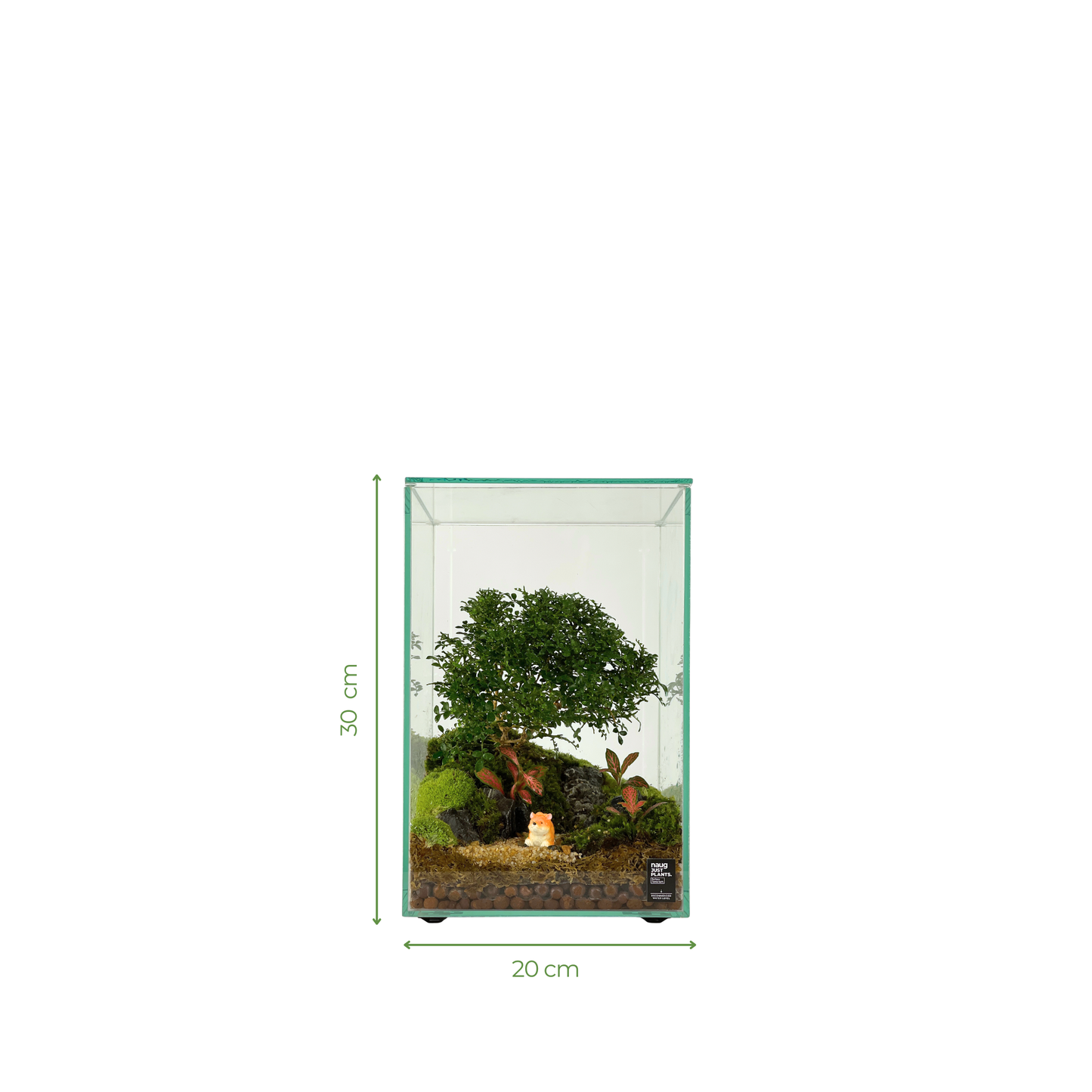 Bonsai Terrarium Series