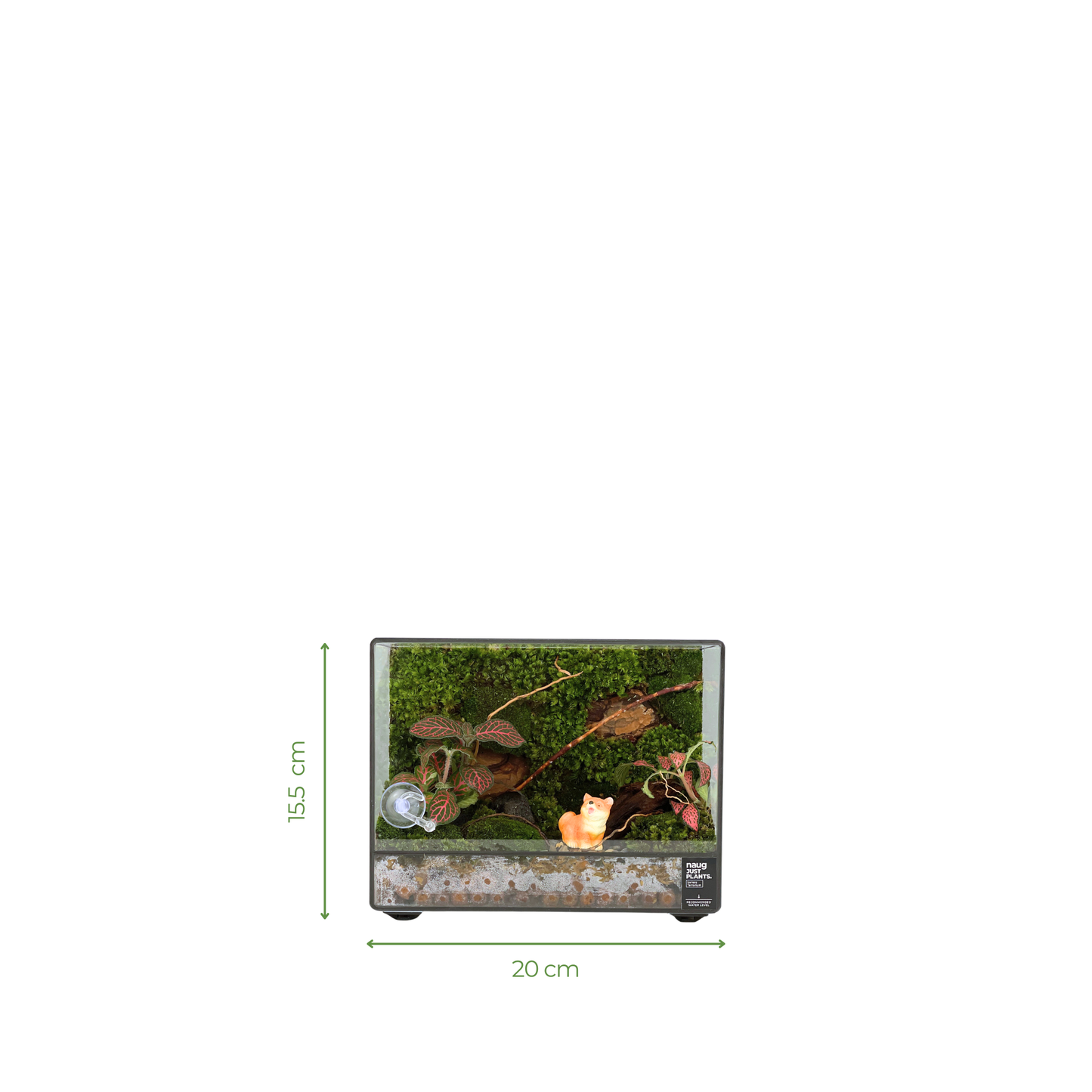 Green Wall Terrarium 20CM x 10CM x 15CM