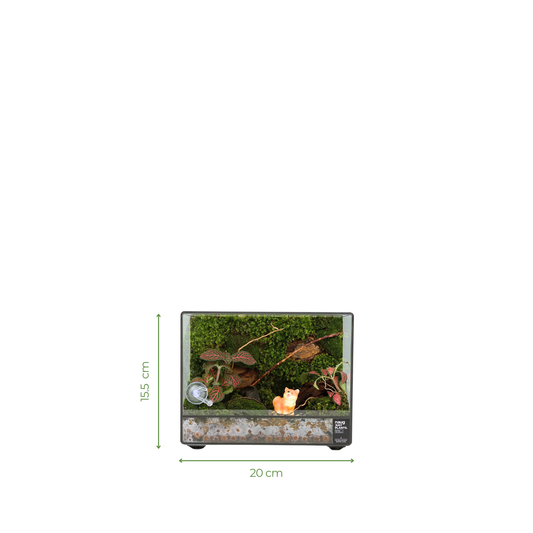 Green Wall Terrarium Series