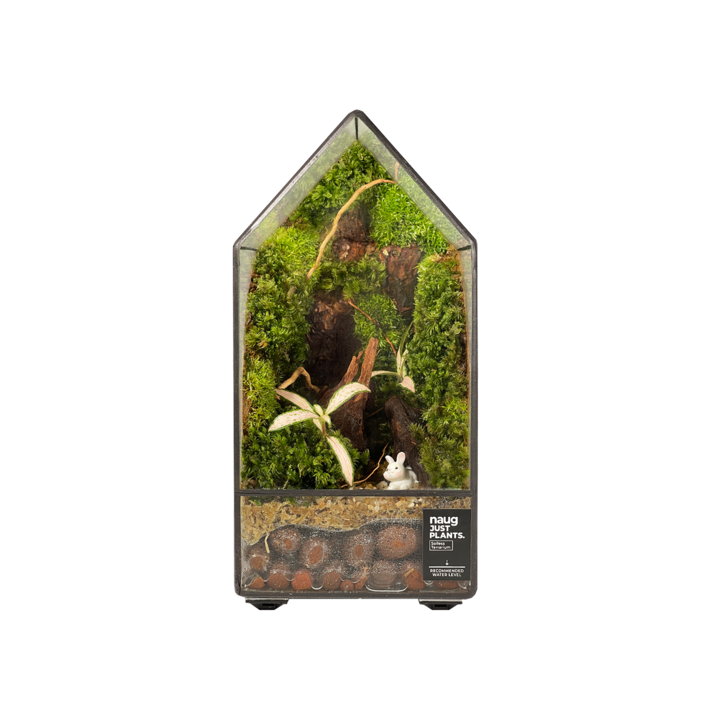 Green House Terrarium 10CM x 10CM x 19.5CM