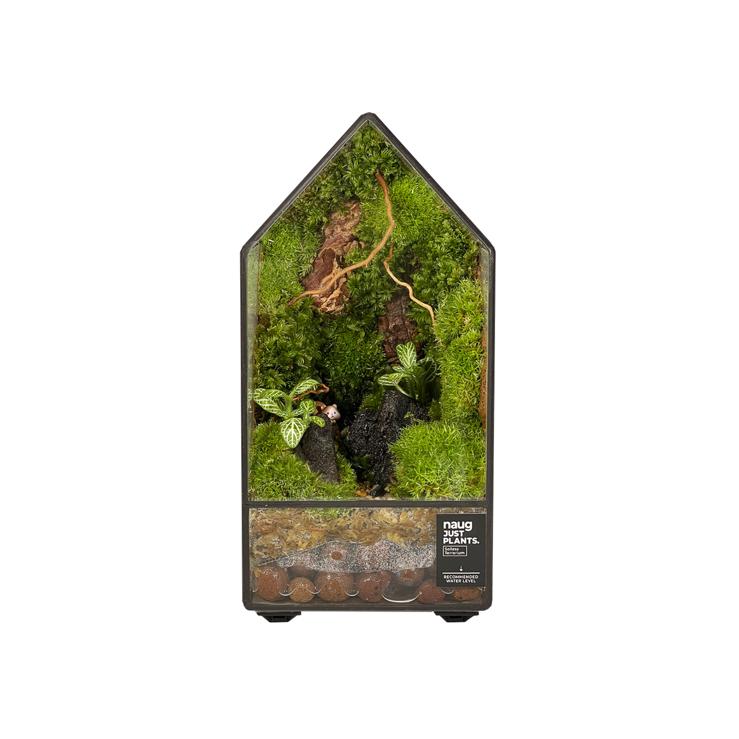 Green House Terrarium 10CM x 10CM x 19.5CM