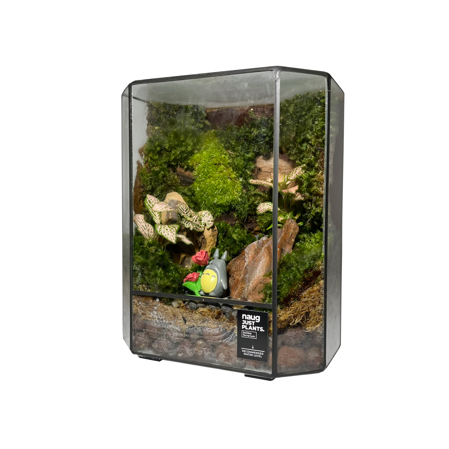 Green Wall Terrarium Series