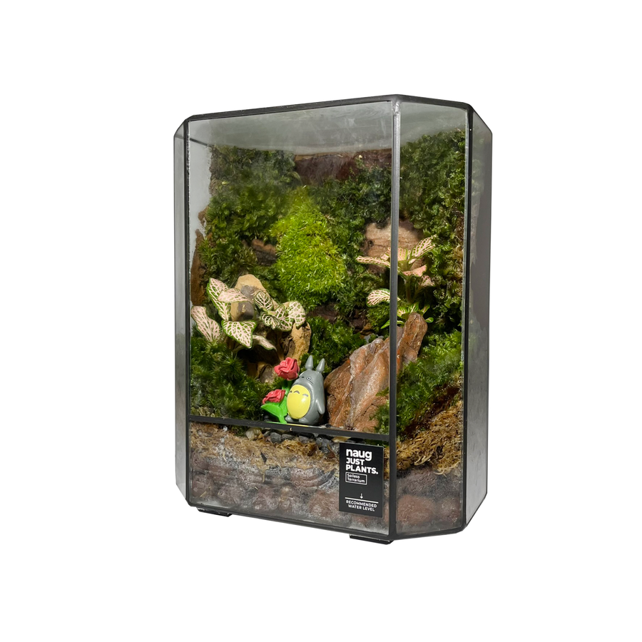 Green Wall Terrarium 15CM x 19CM x 10CM