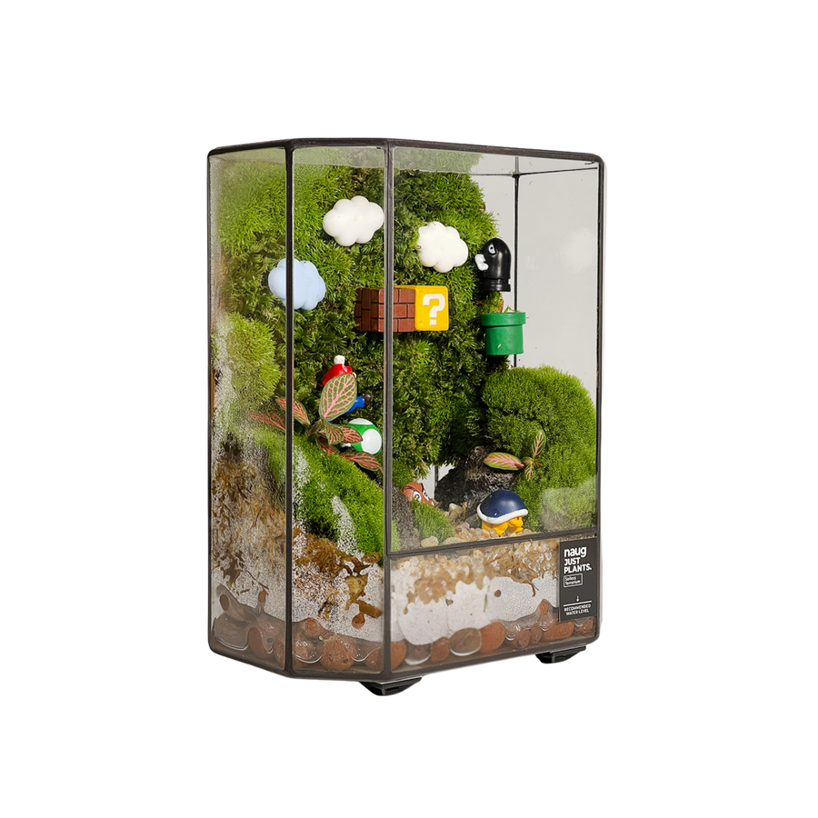 Green Wall Terrarium 15CM x 19CM x 10CM