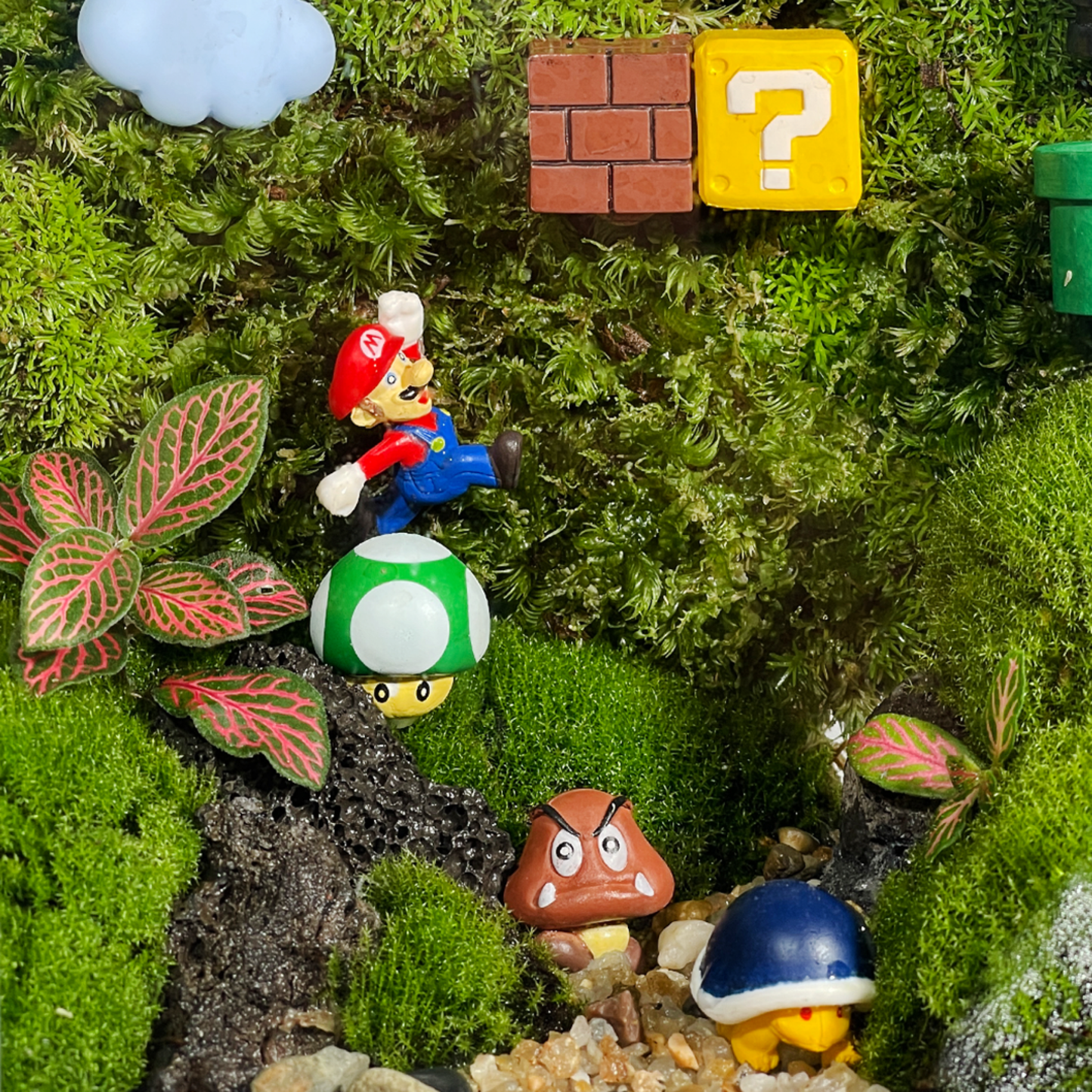 Green Wall Terrarium Series