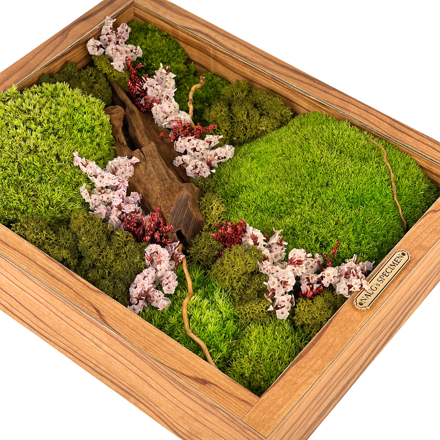 11'' x 9'' Preserved Moss Frame with Driftwood