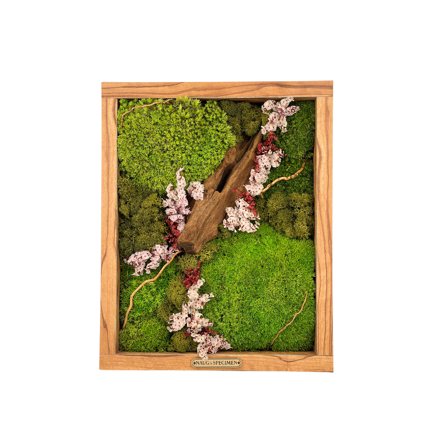 11'' x 9'' Preserved Moss Frame with Driftwood