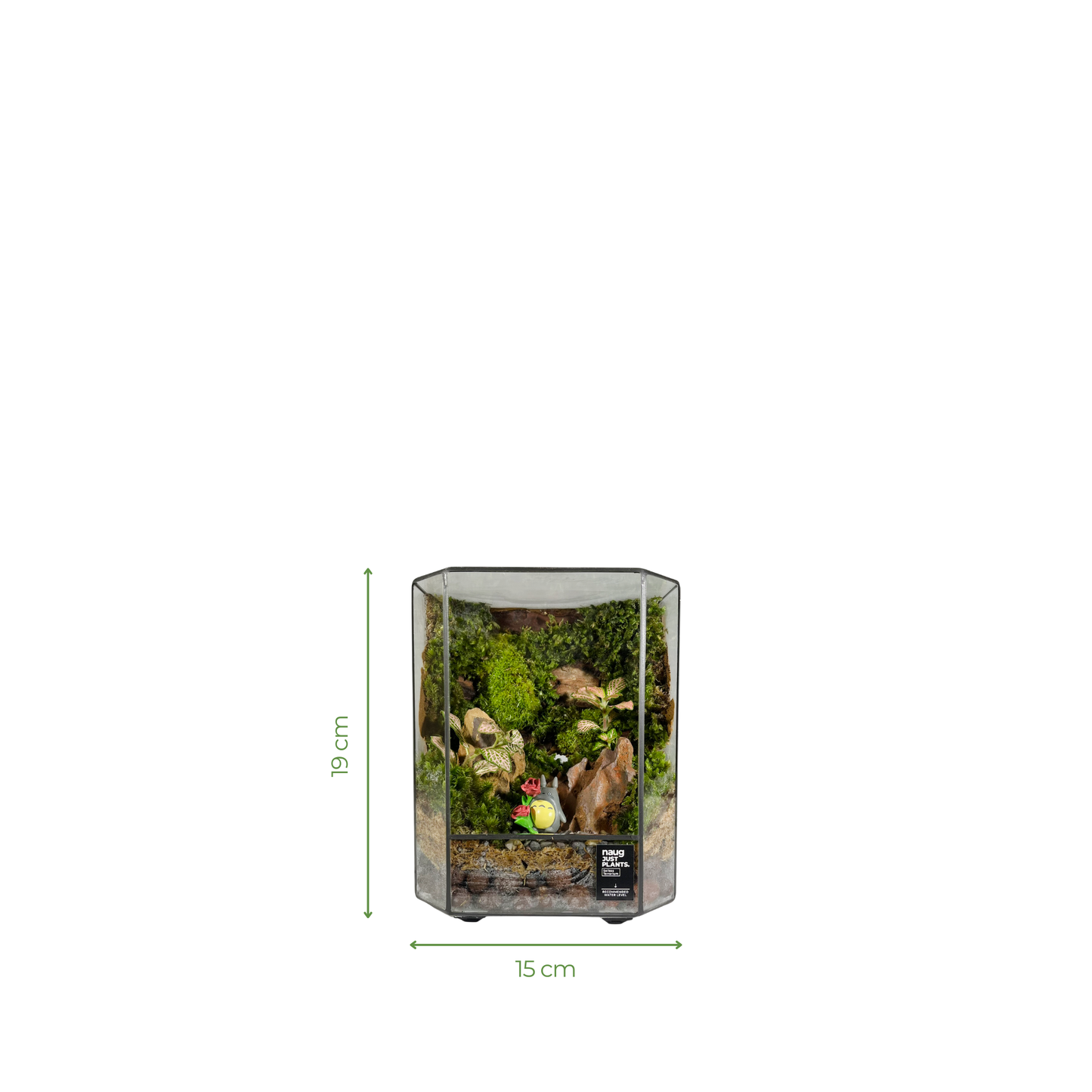 Green Wall Terrarium 15CM x 19CM x 10CM