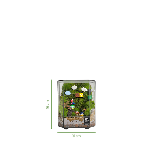 Green Wall Terrarium Series