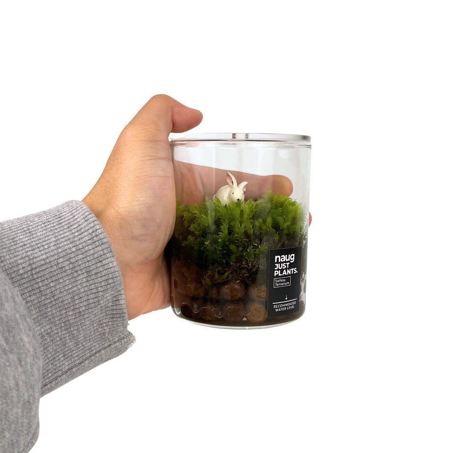 Mini Terrarium Series
