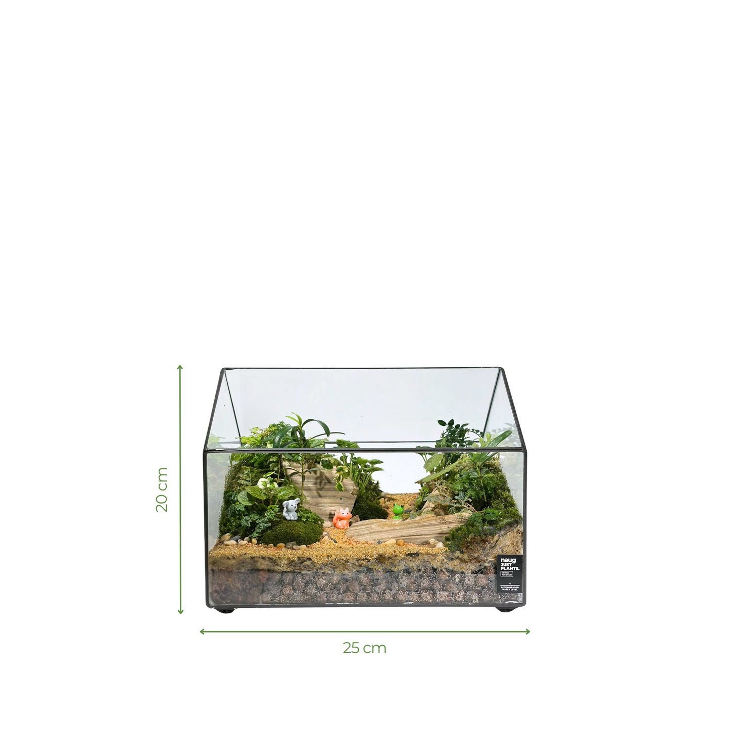 Green House Terrarium Series