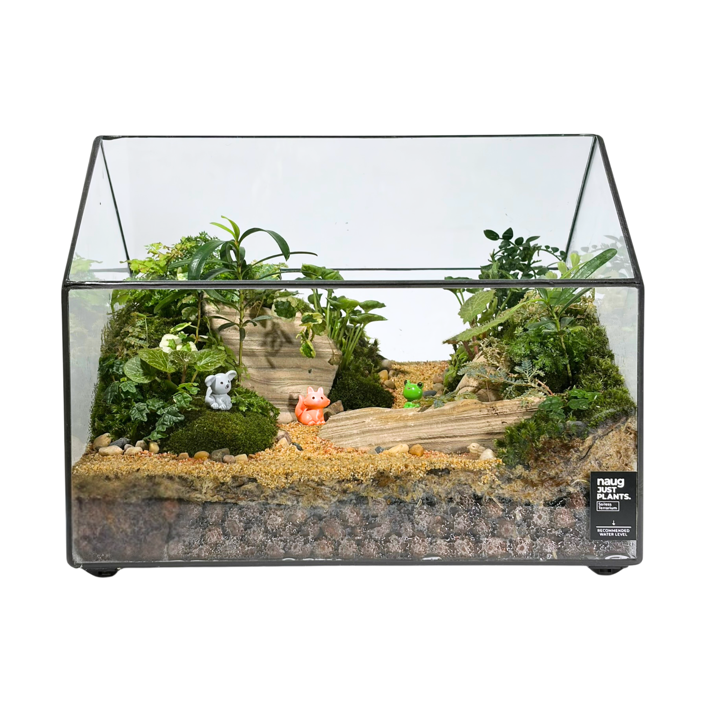 Green House Terrarium Series