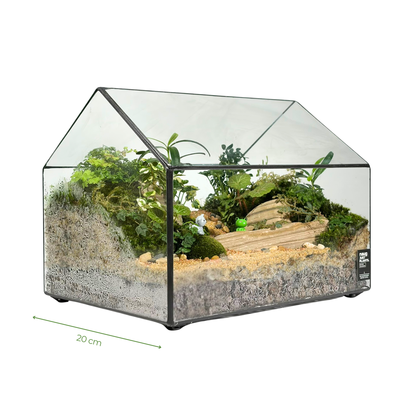 Green House Terrarium Series