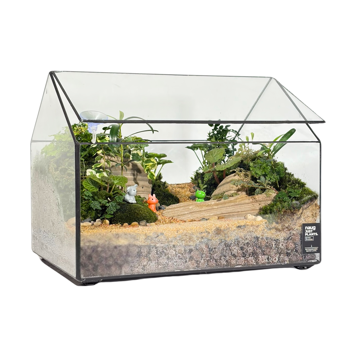 Green House Terrarium Series