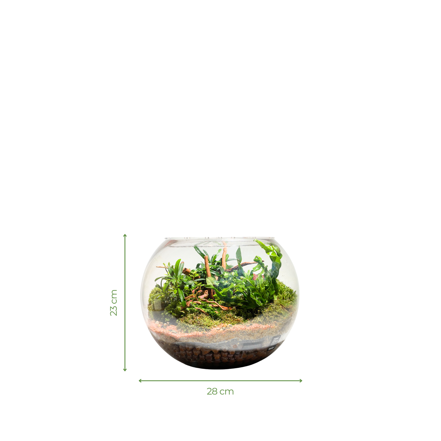 Bowl Terrarium Series