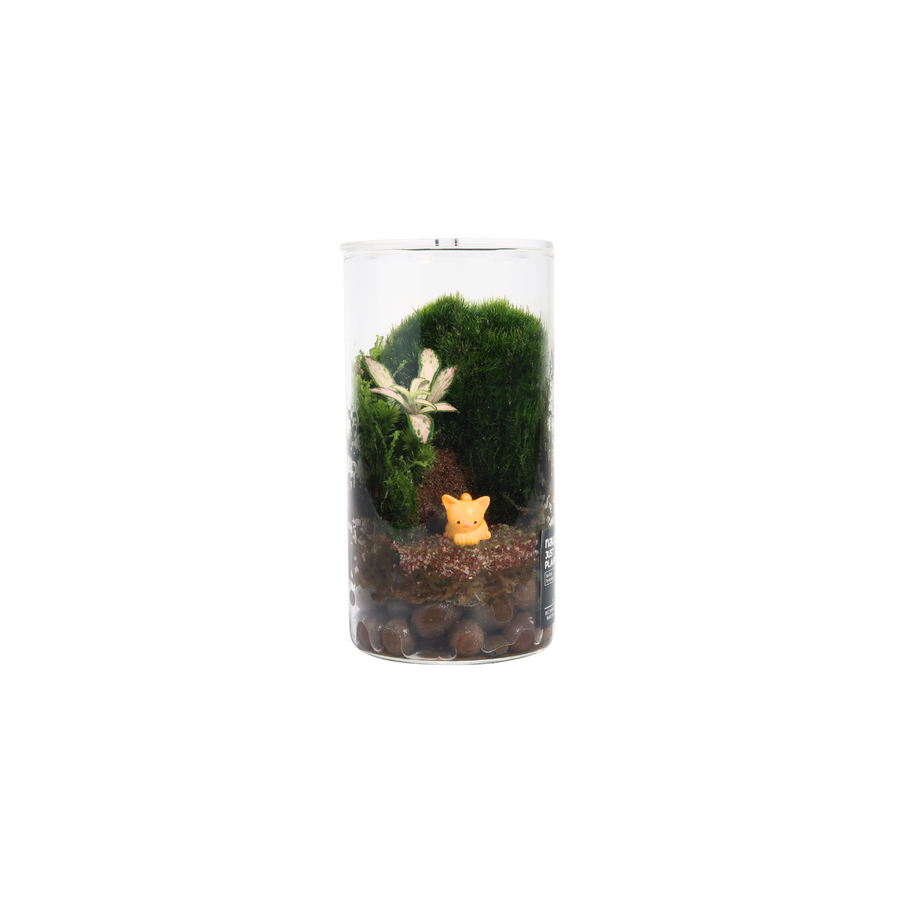 Fun Terrarium 6.5CM x 12CM