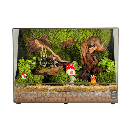 Green Wall Terrarium Series