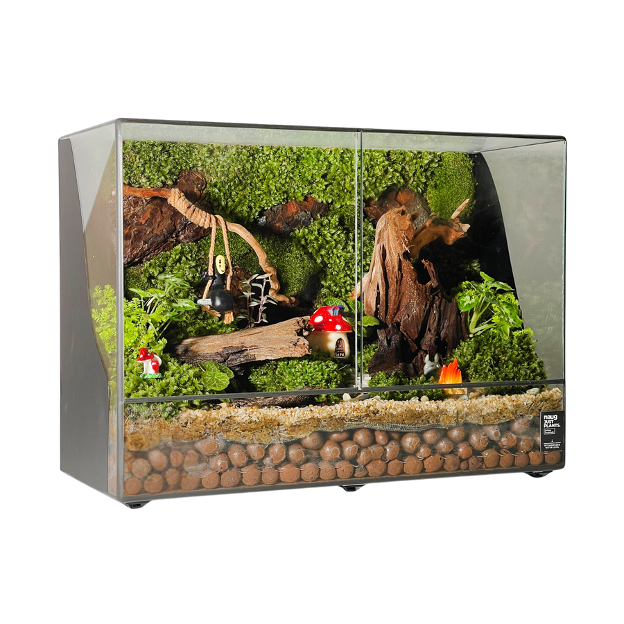 Green Wall Terrarium 35CM x 15CM x 25.7CM