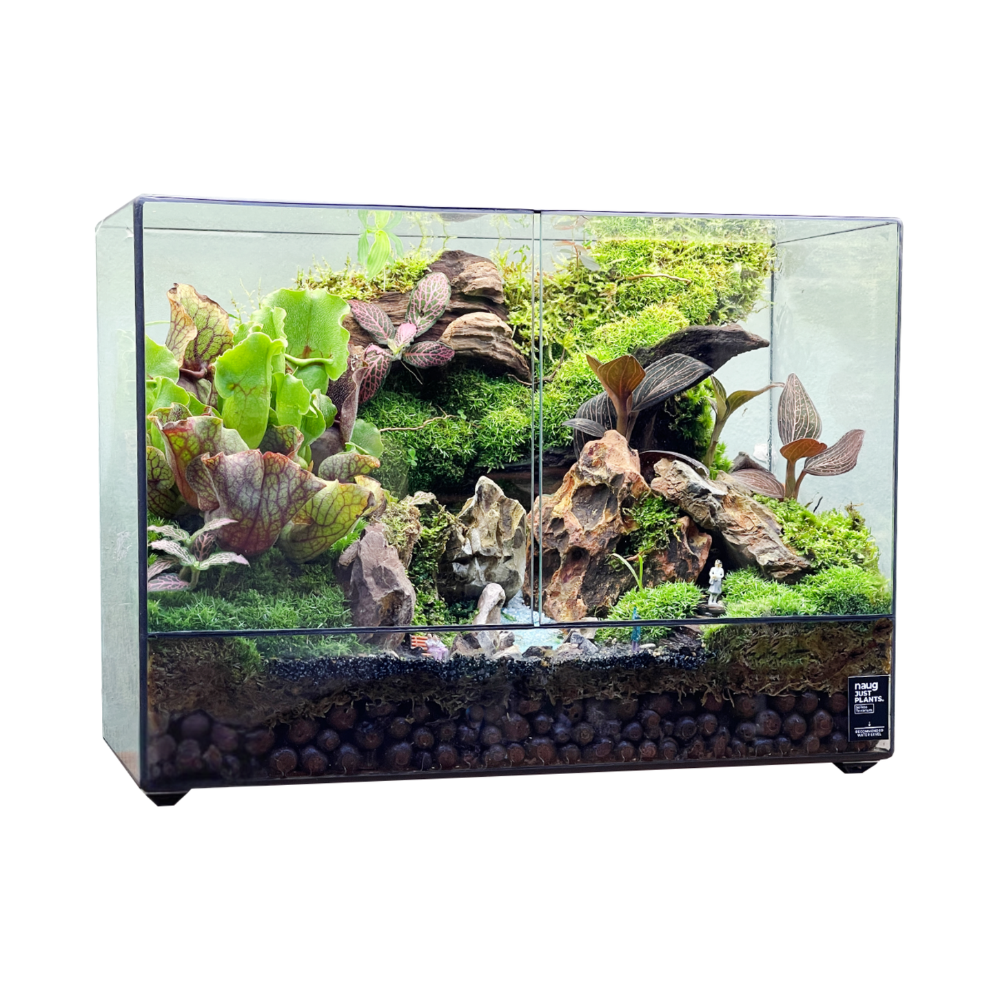 Green Wall Terrarium Series