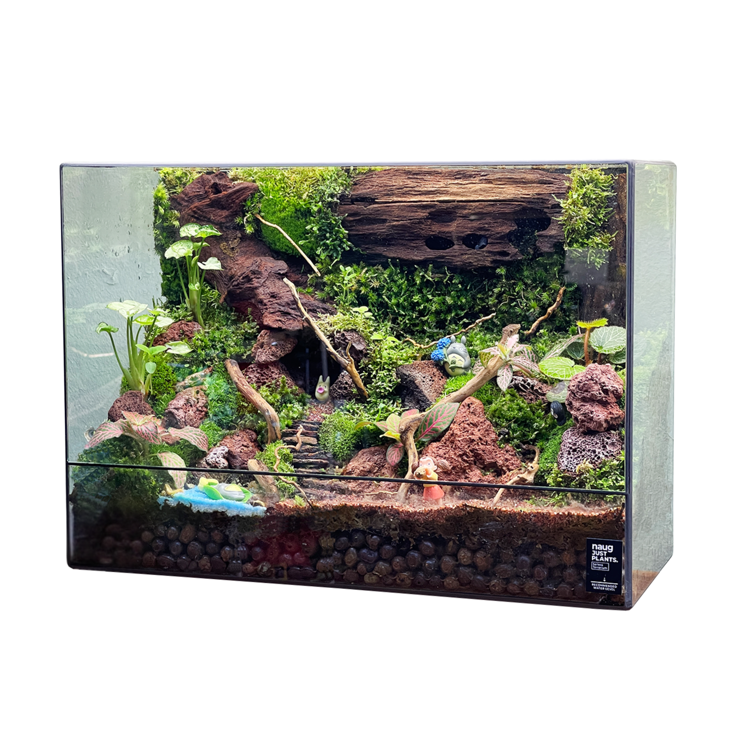 Green Wall Terrarium Series