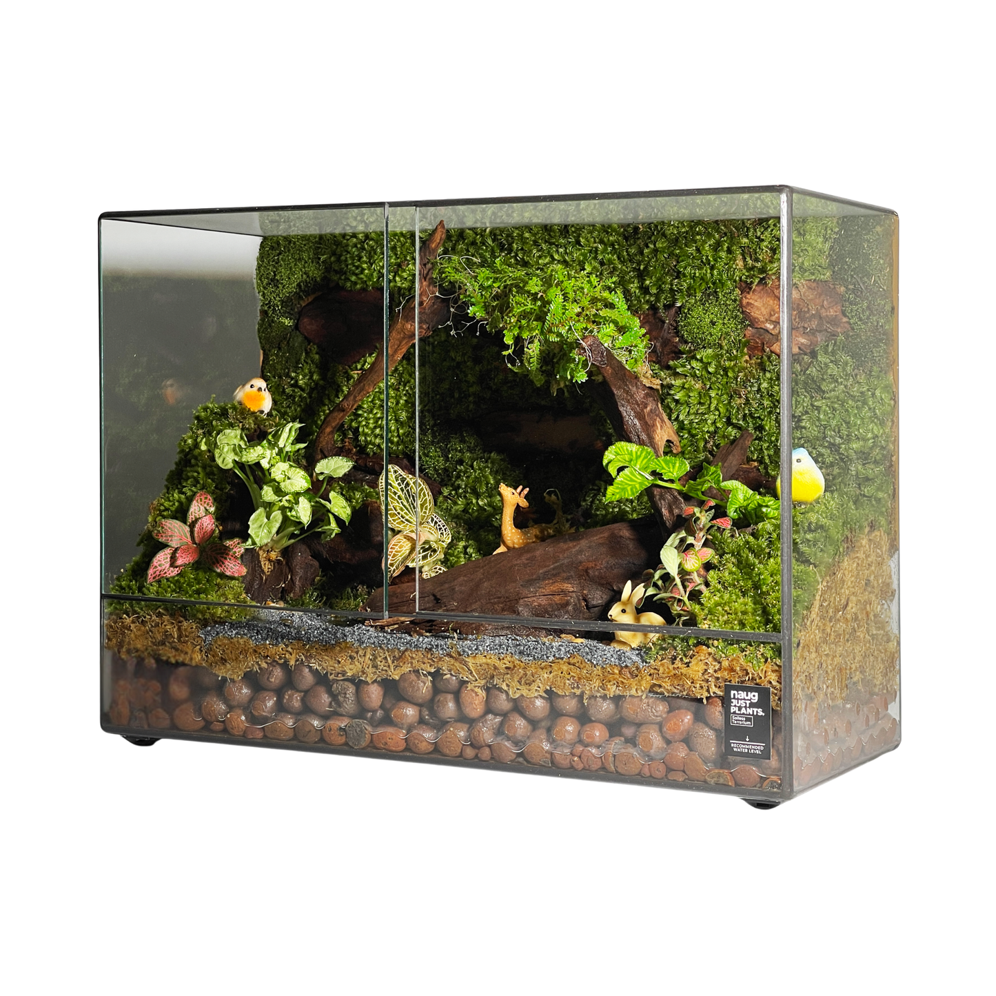 Green Wall Terrarium Series