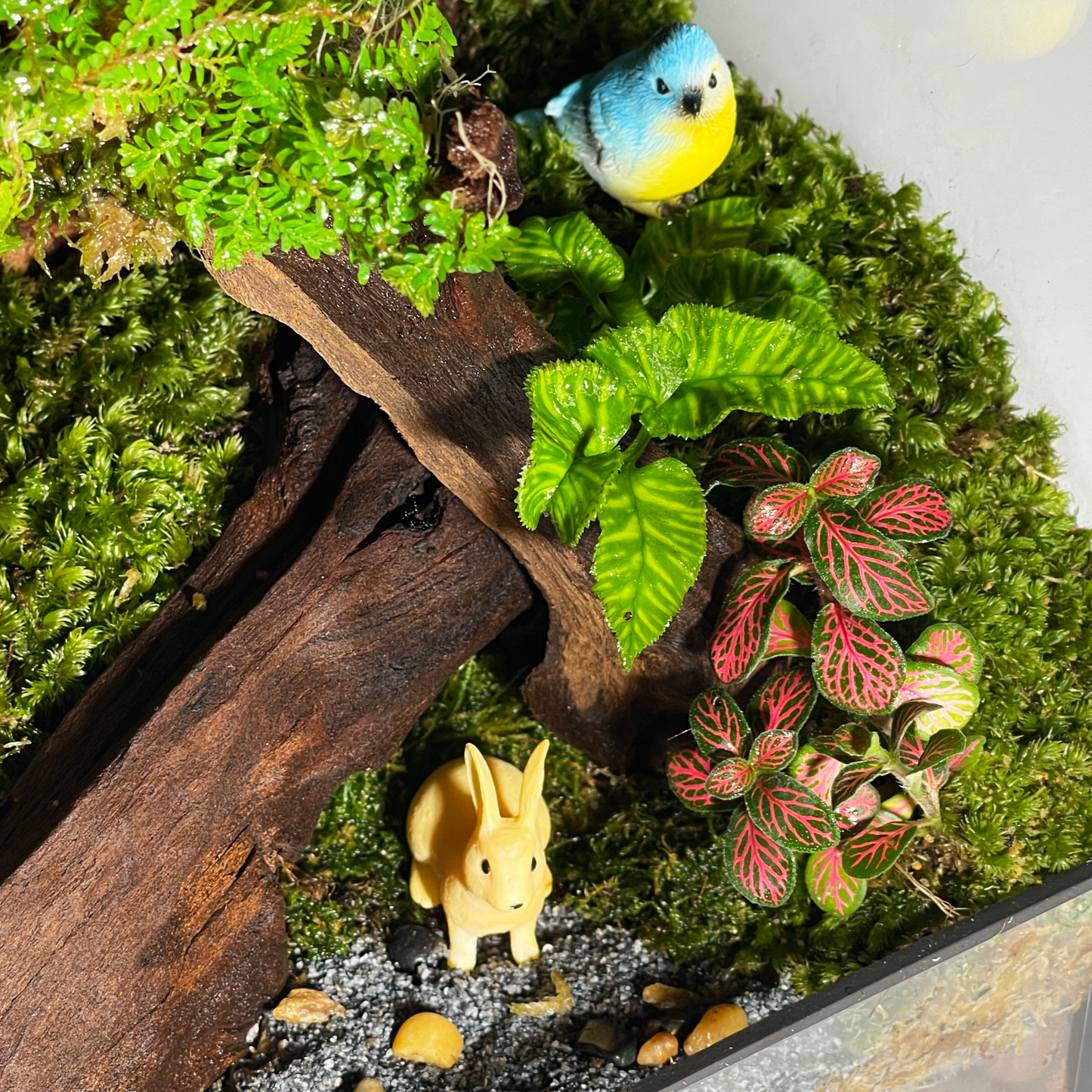 Green Wall Terrarium Series