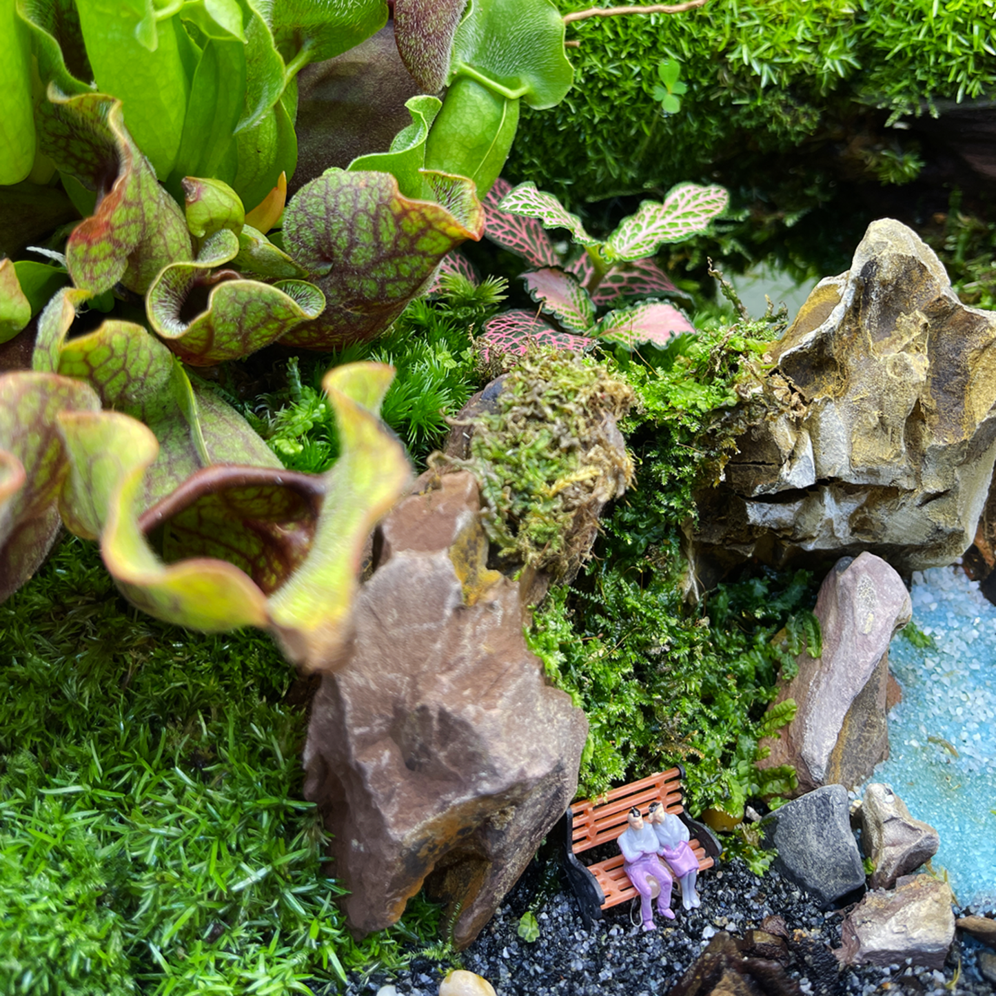 Green Wall Terrarium Series