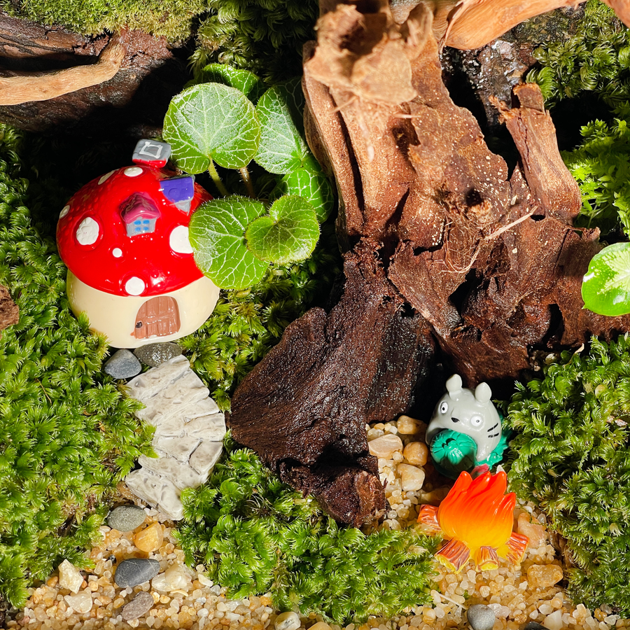 Green Wall Terrarium 35CM x 15CM x 25.7CM