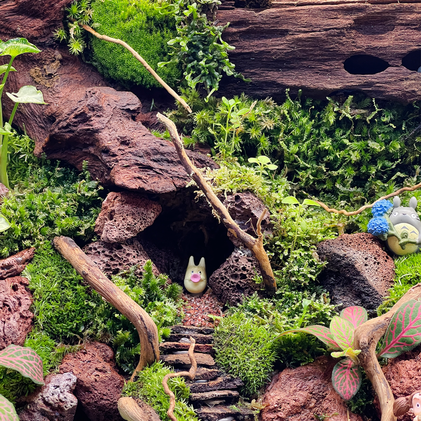 Green Wall Terrarium Series