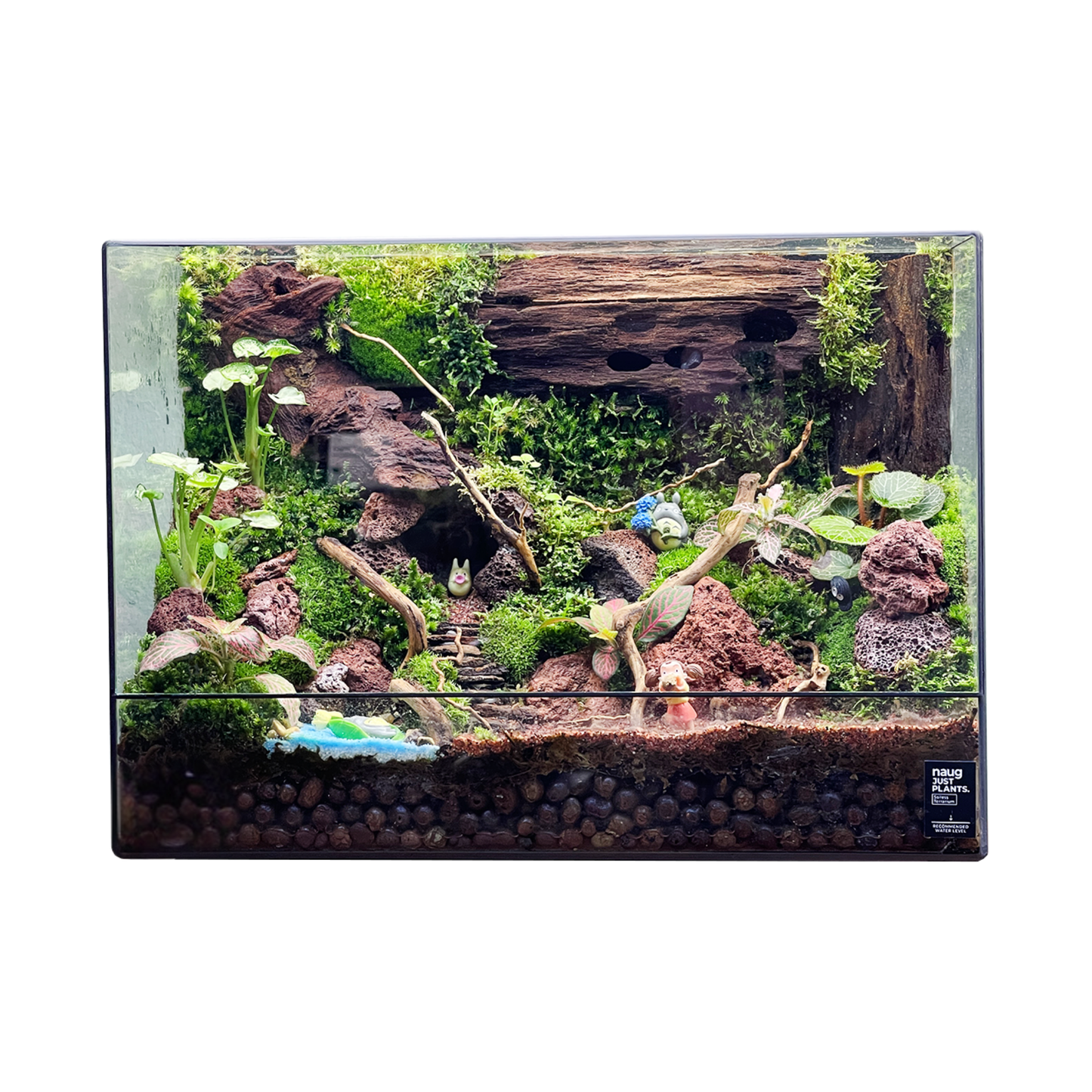 Green Wall Terrarium Series